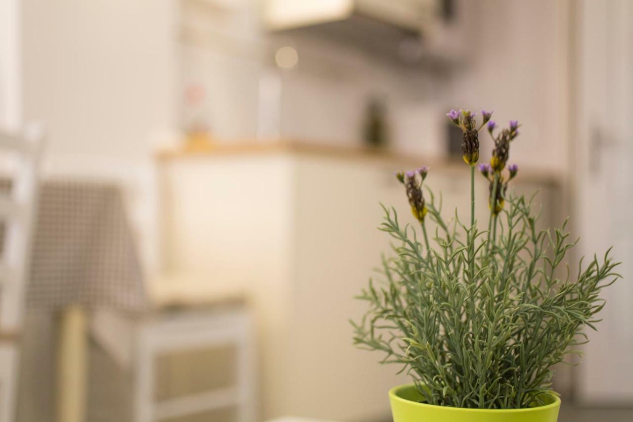 רוביני Apartments Casa Vecchia מראה חיצוני תמונה